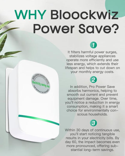 BlockWiz™ Power Stabilizer