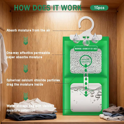 DryGuard™ Moisture Absorber & Mold Prevention Bags