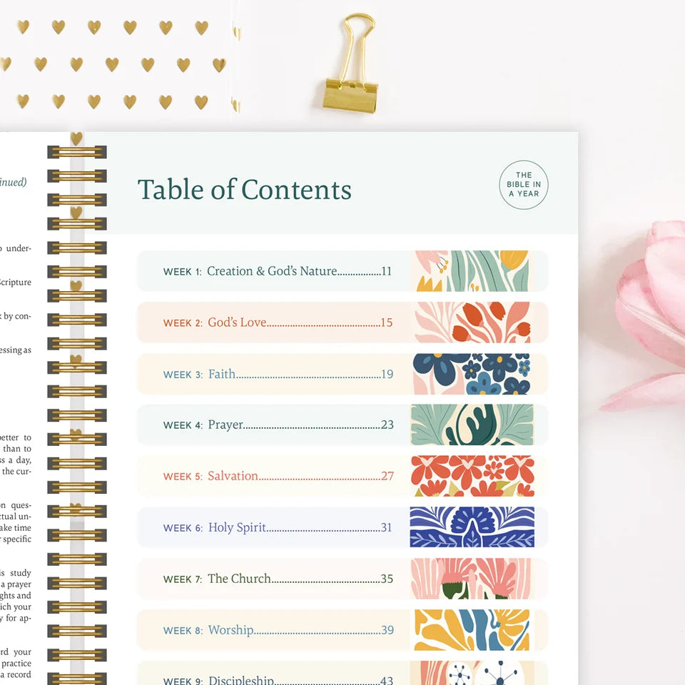 The Bible In A Year: 52-Week Journey Through God's Word