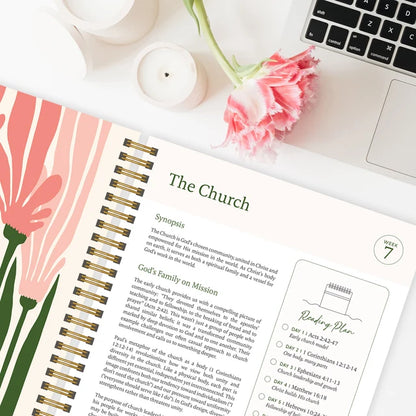 The Bible In A Year: 52-Week Journey Through God's Word