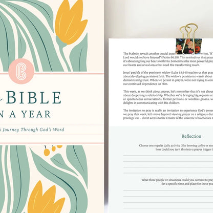 The Bible In A Year: 52-Week Journey Through God's Word